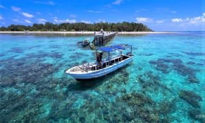 Taman Nasional Wakatobi: Surga Laut yang Menakjubkan di Indonesia