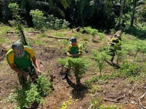 Satgas Pamtas Yonarmed 11 Optimalkan Lahan Kosong untuk Wujudkan Pertanian Produktif: Solusi Cerdas untuk Pembangunan Lokal