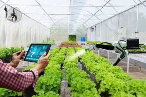 Pupuk Indonesia Kolaborasi dengan Snowflake untuk Mewujudkan Smart Farming yang Lebih Efisien