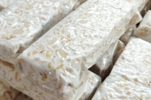 Tempe Jadi Pilihan Ideal Program Bergizi