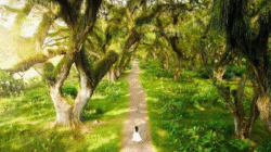 Empat Destinasi Pilihan Banyuwangi untuk Liburan Akhir Tahun