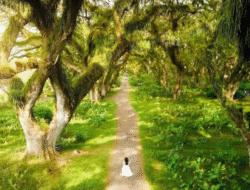 Empat Destinasi Pilihan Banyuwangi untuk Liburan Akhir Tahun